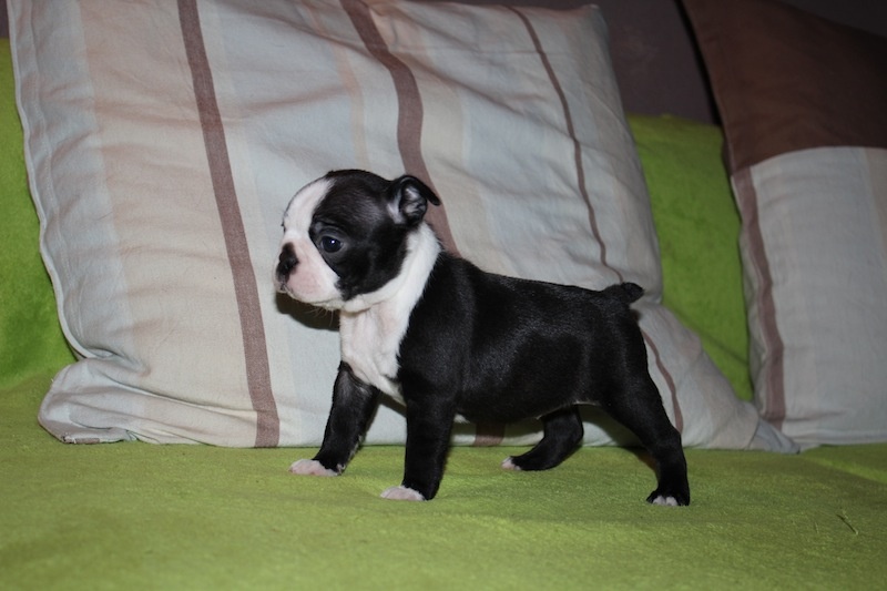 bébés de 2013