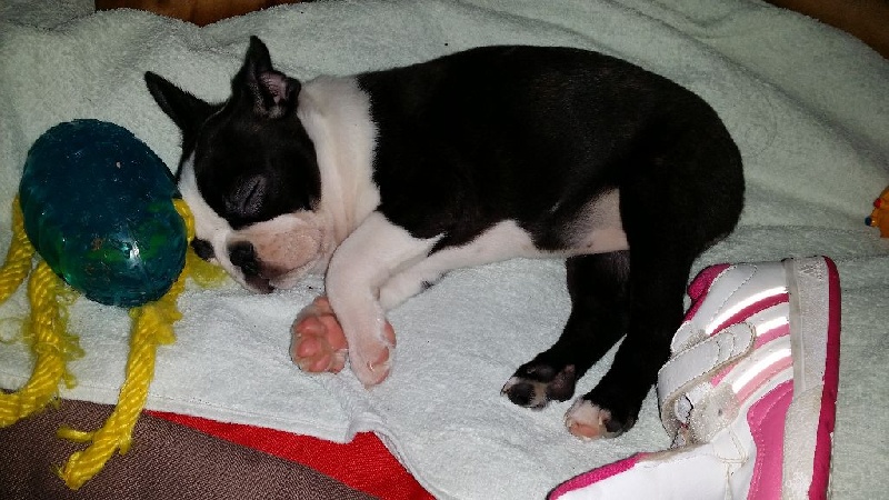 Bébé 2014